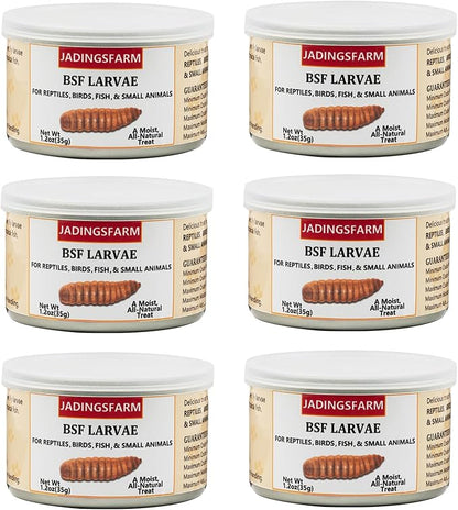 6 Pack Canned Black Soldier Fly Larvae for Reptiles, Fish, Birds and Small Animals, BSF, Healthy High Protein Treat, Reptile Bird Fish Food 1.2 Ounces Each Jadingfarm