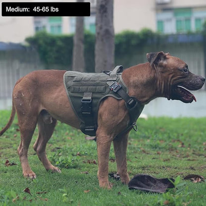 ICEFANG Tactical Dog Harness,Medium Size, 2X Metal Buckle,Working Dog MOLLE Vest with Handle,No Pulling Front Leash Clip,Hook and Loop Panel ICEFANGDIRECT