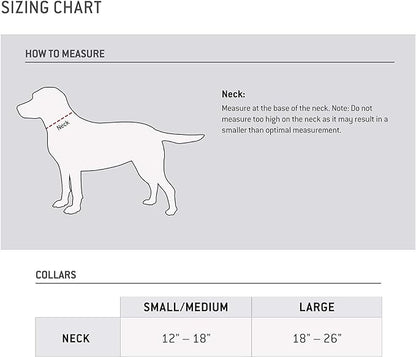 Carhartt Fully Adjustable Nylon Webbing Collars for Dogs, Reflective Stitching for Visibility, Hunter Orange (Nylon Webbing), Large Carhartt