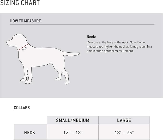 Carhartt Fully Adjustable Nylon Webbing Collars for Dogs, Reflective Stitching for Visibility, Hunter Orange (Nylon Webbing), Medium Carhartt