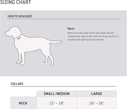 Carhartt Fully Adjustable Nylon Webbing Collars for Dogs, Reflective Stitching for Visibility, Hunter Orange (Nylon Webbing), Medium Carhartt