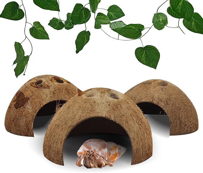 Hamiledyi Reptile Hideouts Natural Coconut Shells Hut Hermit Crab Climbing Toys Gecko Hide Cave Lizard Habitat Decor Plant Leaves Decoration for Spider Snake Chameleon (4Pcs) Hamiledyi