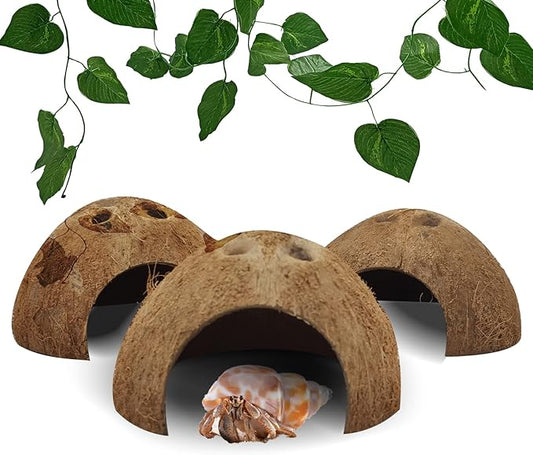 Hamiledyi Reptile Hideouts Natural Coconut Shells Hut Hermit Crab Climbing Toys Gecko Hide Cave Lizard Habitat Decor Plant Leaves Decoration for Spider Snake Chameleon (4Pcs) Hamiledyi