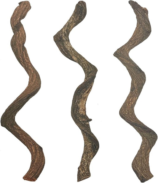BNOSDM Reptile Forest Climbing Branch Decor Crested Gecko Climb Wood Natural Branches Tree for Snake Frog Chameleon Spider Bearded Dragon Terrarium Habitat Tank Accessories,3PCS BNOSDM