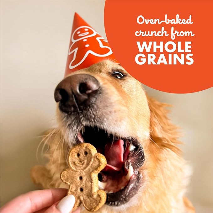 Buddy Biscuits Crunchy Dog Treats, Peanut Butter, 18 oz. Box - PAWPICO