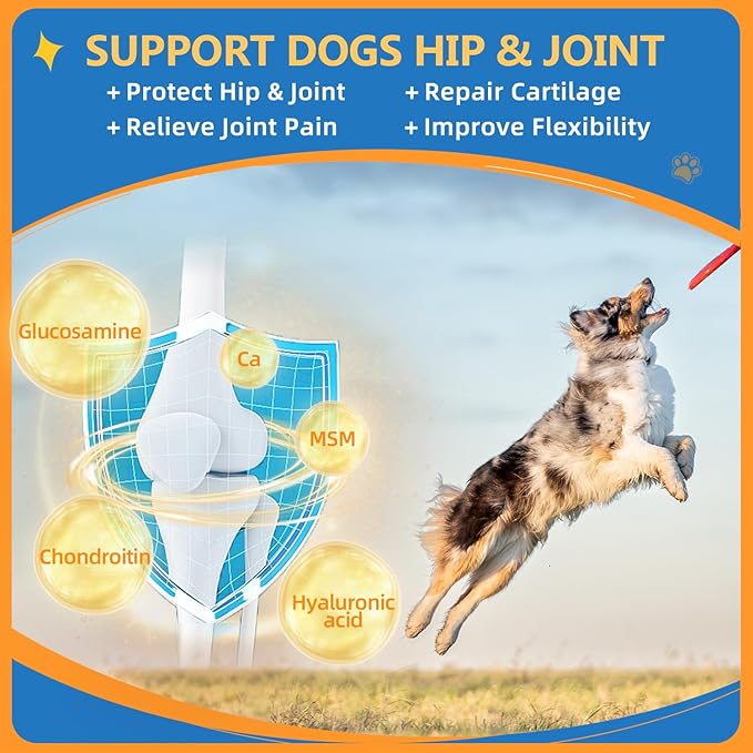 Dog Multivitamin Powder with Glucosamine, Dog Vitamins and Supplements for Immune Support, Dog Skin and Coat Supplement with Omega 3 for Allergy Relief, Probiotics for Dog Support Digestive Health ZEBORA