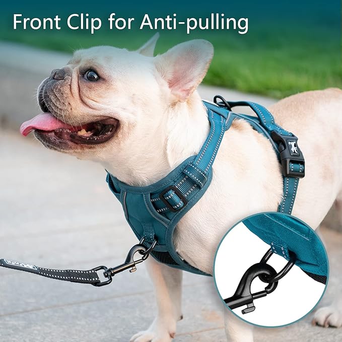 PoyPet No Pull Dog Harness, No Choke Reflective Dog Vest, Adjustable Pet Harnesses with Easy Control Padded Handle for Small Medium Large Dogs(Tumalo Teal,S) PoyPet