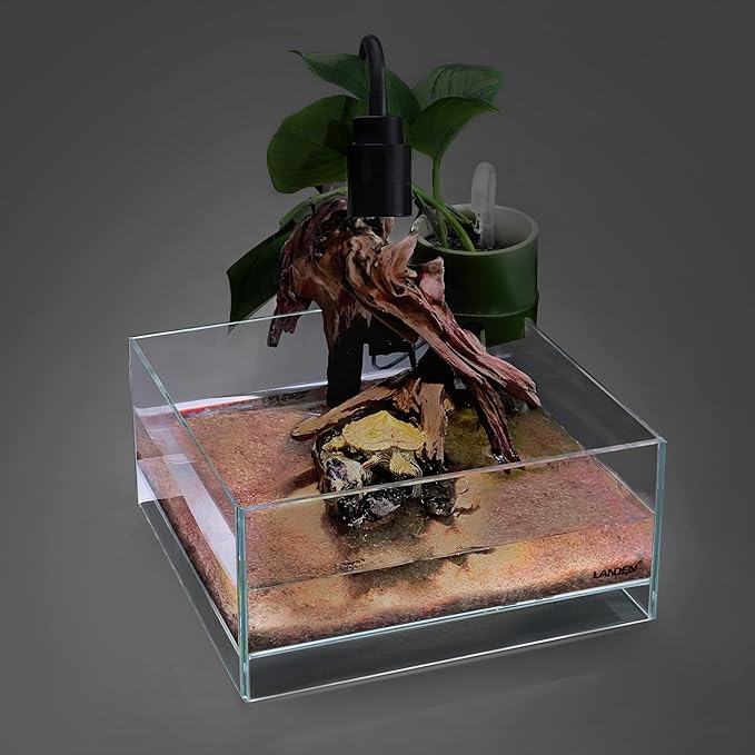 LANDEN Glass Air Aquarium Tank Multi-Scene Landscape Aquarium, 1.6Gallon Rimless Low Iron Shallow Tank,10.63" W×10.63" D×4.72" H (27cmx27cmx12cm) 5mm Thickness Landen