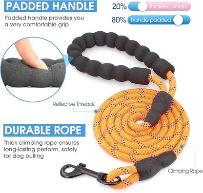 BAAPET 2/4/5/6 FT Dog Leash with Comfortable Padded Handle and Highly Reflective Threads for Small Medium and Large Dogs (5FT-1/3'', Orange) BAAPET
