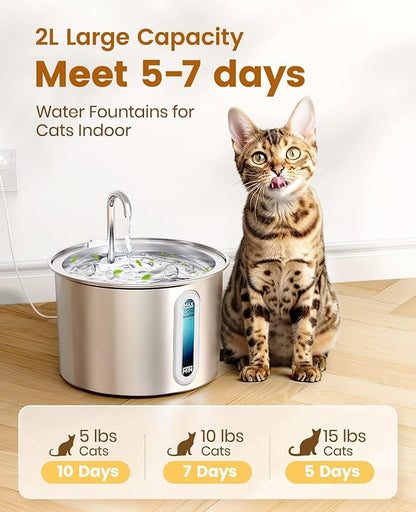 oneisall Stainless Steel Cat Water Fountain, 2L Water Fountains for Cats Indoor Dishwasher Safe with Quiet Pump and 3 Replacement Filters, Automatic Pet Water Fountain Faucet Spout Design - PAWPICO