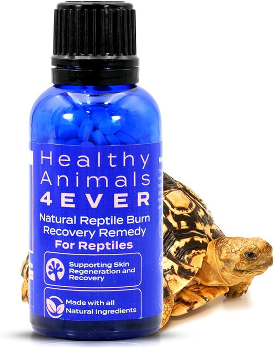 HealthyAnimals4Ever Natural Reptile Burn Recovery Remedy - Soothing & Revitalizing Homeopathic Formula for Burn Care, Skin Recovery & Comfort - 300 Count HealthyAnimals4ever
