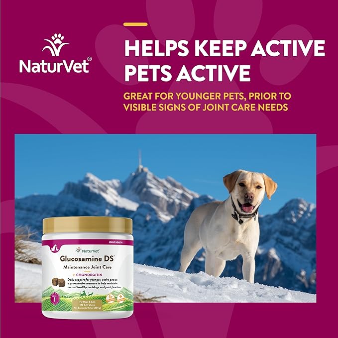 NaturVet Glucosamine DS Level 1 Maintenance, Joint Care Support Supplement for Dogs and Cats, Soft Chews, Made in The USA NaturVet