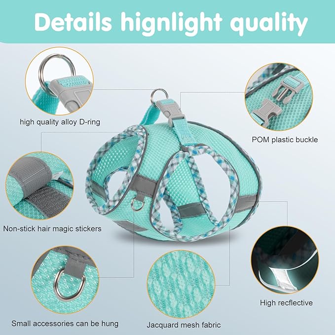 Dog Harness and Leash Set, No Pull Pet Harness for Small Dogs Easy Walking,Soft Breathable Small Dog Harness,Adjustable Reflective Step in Vest Harness for Puppy,Kitten, Cats TomteNisse