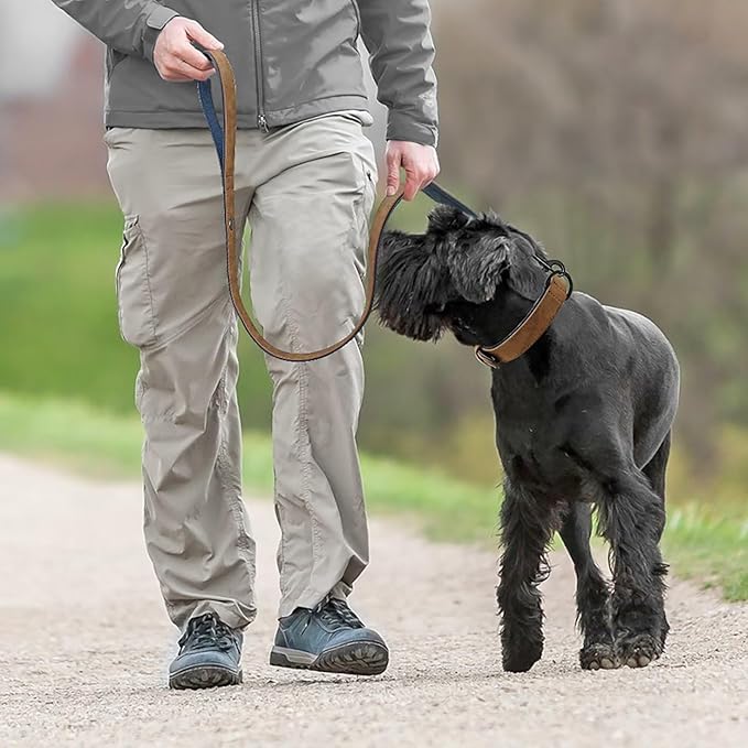 Didog Soft Padded Leather Dog Collar and Leash Set, Heavy Duty Dog Leash and Collar Set with Metal Buckle, Breathable Dog Collars with 4FT Leather Dog Leash for Small Medium Large Dogs, Brown, M Didog