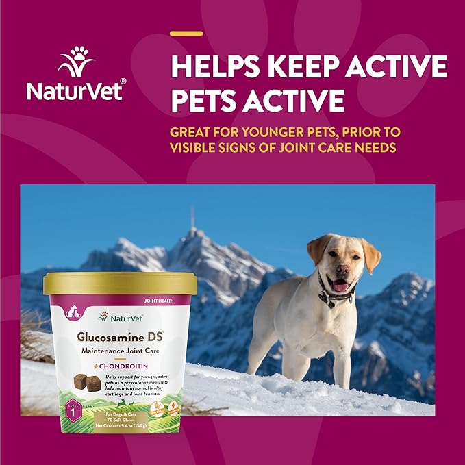 NaturVet Glucosamine DS Level 1 Maintenance, Joint Care Support Supplement for Dogs and Cats, Soft Chews, Made in The USA NaturVet