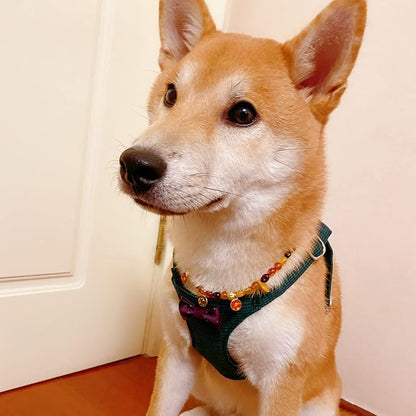 Puppytie No Pull xs Dog Harness with Multifunction Dog Leash,Soft Adjustable No Choke Escape Proof Pet Harness Vest,Plaid Green,xs Puppytie