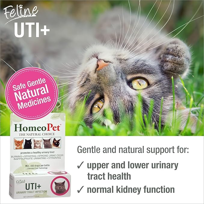 HomeoPet Feline UTI Plus, Safe and Natural Urinary Tract Medicine for Cats, Feline Urinary Tract Support, 15 Milliliters - Pack of 2 HomeoPet