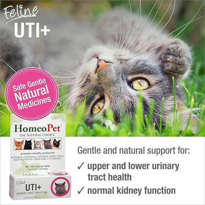 HomeoPet Feline UTI Plus, Safe and Natural Urinary Tract Medicine for Cats, Feline Urinary Tract Support, 15 Milliliters - Pack of 2 HomeoPet