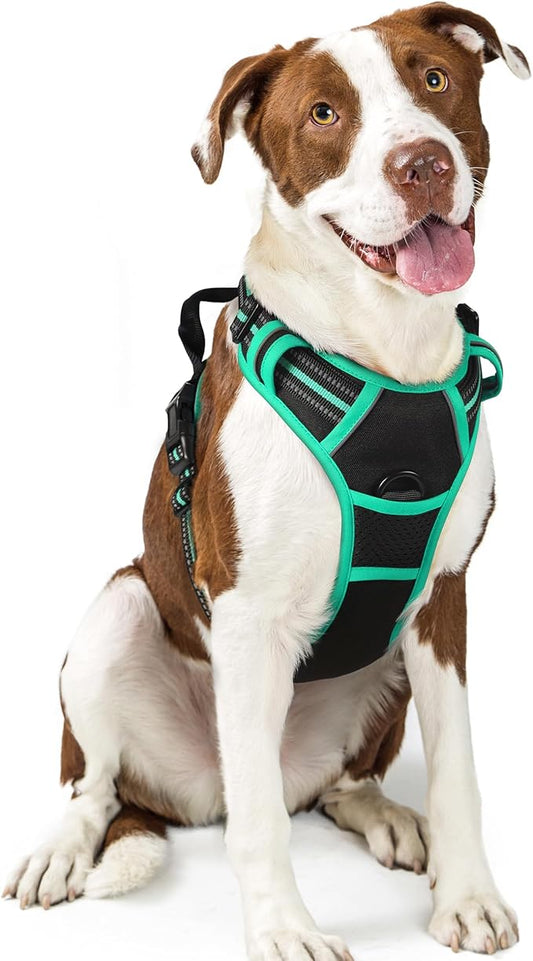 rabbitgoo Dog Harness No Pull with 2 Leash Clips, Adjustable Soft Padded, Reflective Oxford No Choke Pet Vest with Easy Control Handle for Large Dogs, Black & Turquoise, L rabbitgoo