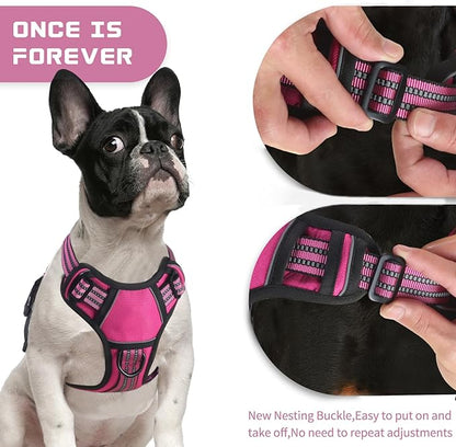 BUMBIN Dog Harness for Large Dogs, No Pull Adjustable No Choke Pet Vest with Dog Leash Fit Smart Reflective Pet Walking Harness for Training Easy Control Soft Handle Rose Red S BUMBIN