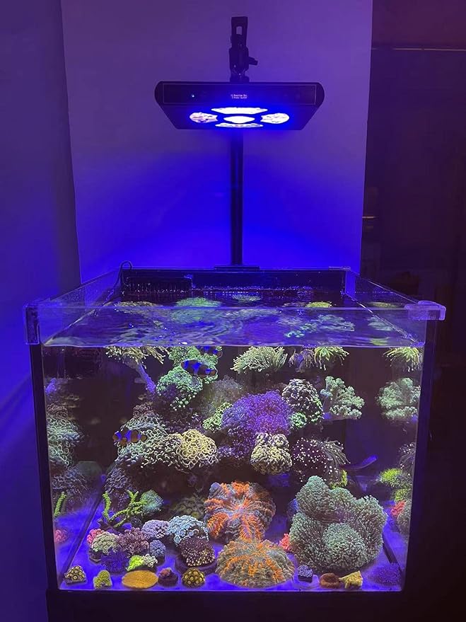 Aquarium Lights-100 watt 5 Channels Sunrise Sunset Moonlight Reef Lights for Coral SPS LPS Saltwater Tank(Black) HIPARGERO