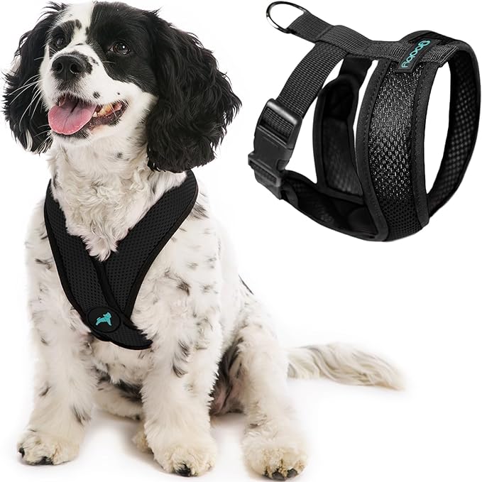 Gooby Black X-Large Polyester Comfort X Harness for Small Dogs, No Pull, Choke-Free, Lightweight Mesh, Machine Washable Gooby