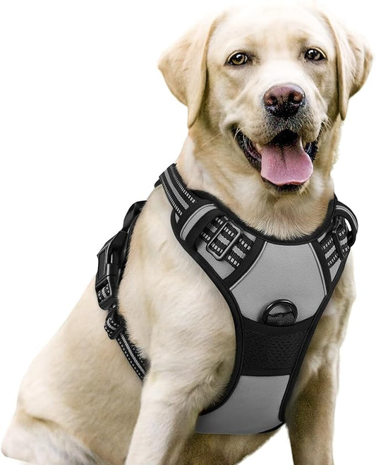 rabbitgoo Dog Harness No Pull with 2 Leash Clips, Adjustable Soft Padded, Reflective Oxford No Choke Pet Vest with Easy Control Handle for Large Dogs, Grey, L rabbitgoo