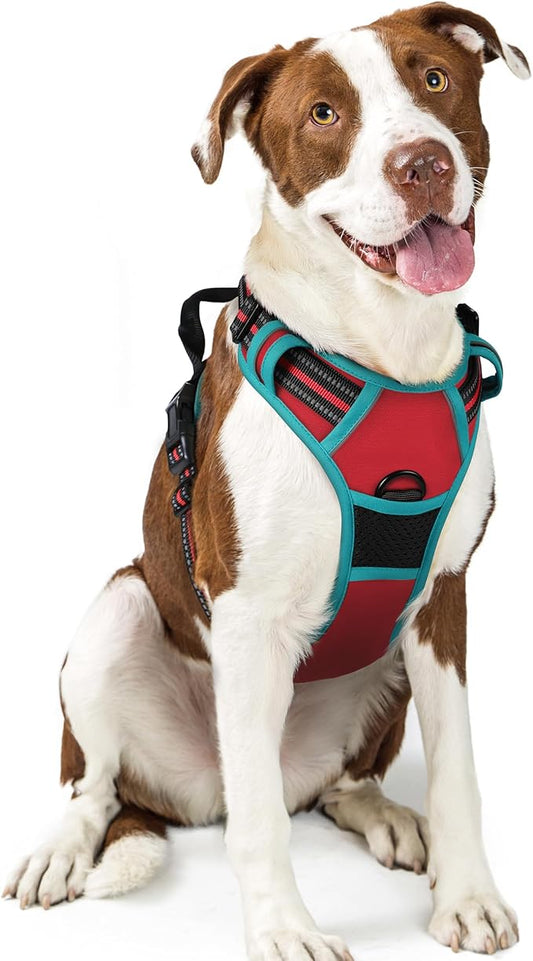 rabbitgoo Dog Harness No Pull with 2 Leash Clips, Adjustable Soft Padded, Reflective Oxford No Choke Pet Vest with Easy Control Handle for Large Dogs, Red & Teal, L rabbitgoo