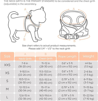 BELLA & PAL Puppy Harness with Leash Set, Dog Harness for Small Dogs No Pull, Dog Leash for Small Dogs, Step in Harness for Extra Small Dogs, Peach Harness, L BELLAPAL