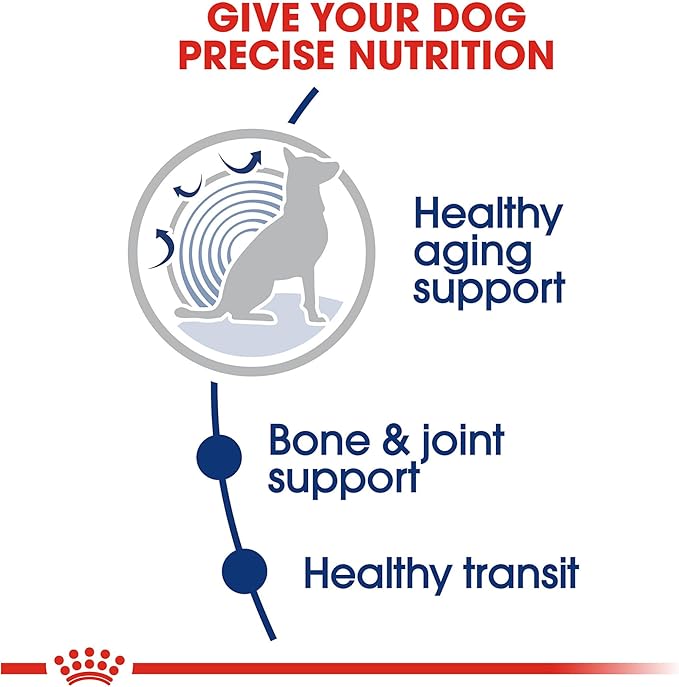 Royal Canin Large Aging 8+ Senior Dry Dog Food, 30 lb bag - PAWPICO