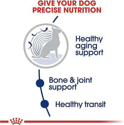 Royal Canin Large Aging 8+ Senior Dry Dog Food, 30 lb bag - PAWPICO