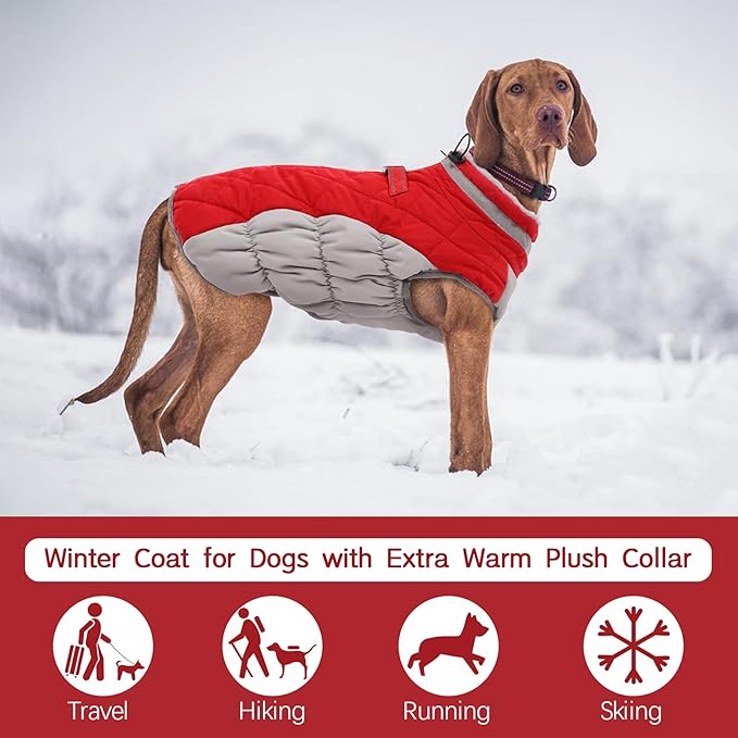 FUAMEY Dog Winter Coat - Warm Fleece Vest with Built-in Harness, Waterproof Windproof Reflective Snow Jacket for Dogs with Zipper, Red X-Small - PAWPICO