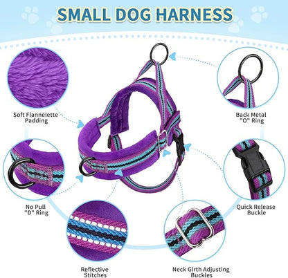 SlowTon No Pull Small Dog Harness and Leash Set, Puppy Soft Vest Harness Neck & Chest Adjustable, Reflective Lightweight Harness & Anti-Twist Pet Lead Combo for Small Medium Dogs (PU-Front Clip, XXS) SlowTon