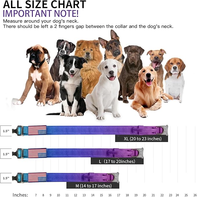 Tactical Dog Collar Military Dog Collar Adjustable Nylon Dog Collar Heavy Duty Metal Buckle with Handle for Dog Training,with Patches(Gradient 1, L) Celifelight