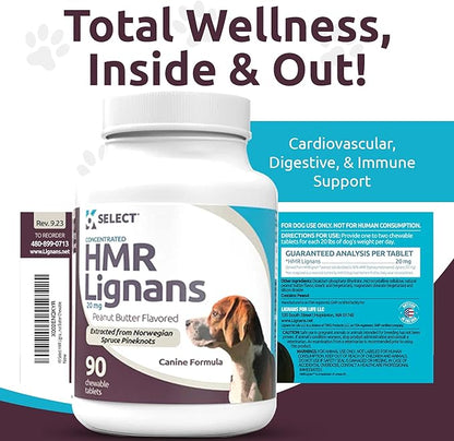 K9 Select HMR Lignans for Dogs - Enhancer for Overall Wellness, Immune Support for Dogs - Norway Spruce Extract Holistic Dog Health - Digestion, & Coat Care - Peanut Butter, 20mg, 90 Tablets LignansForLife
