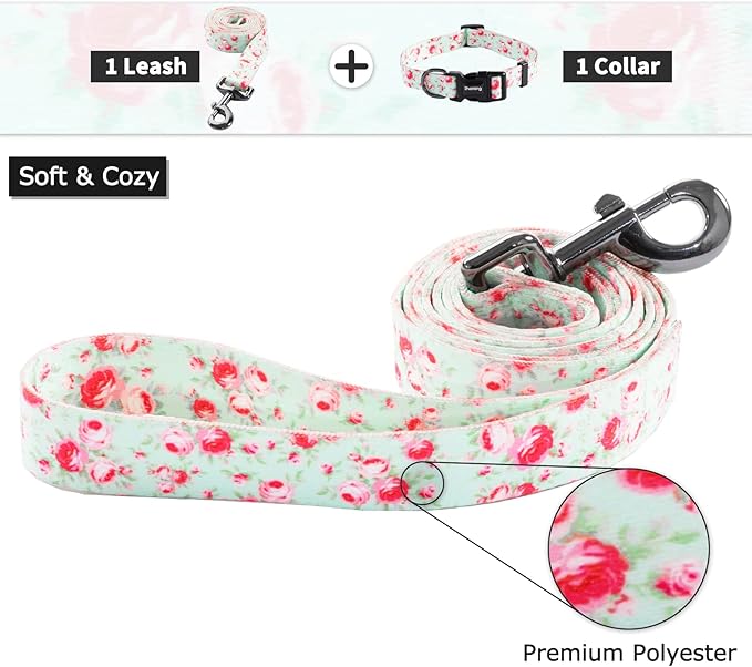 Ihoming Puppy Collar and Leash Set for Daily Outdoor Walking Running Training, Floral GreenLake Design for Extra Small Boys Girls Dogs Cats Pets, XS-Up to 10LBS Ihoming