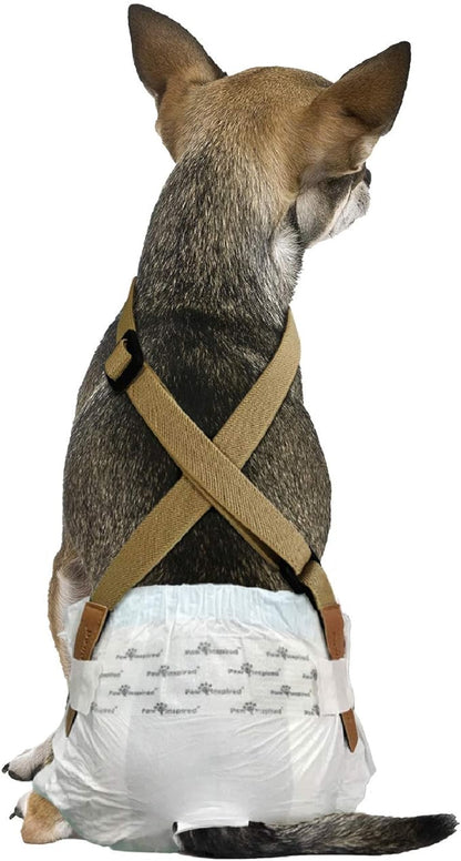 Paw Inspired Dog Diaper Suspenders with Velcro Fasteners | Stretchy Adjustable Suspenders for Female and Male Disposable and Washable Diapers | Fits Small, Medium and Large Size Pets (XS/S, Brown) - PAWPICO