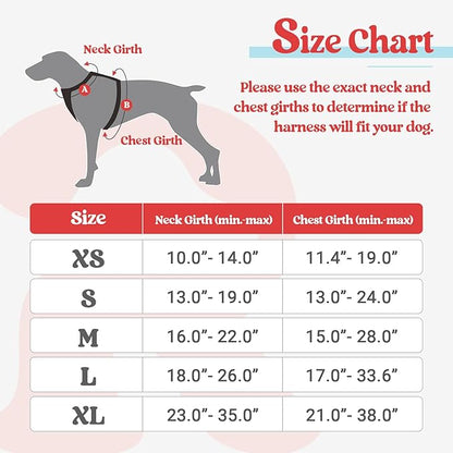 rabbitgoo Dog Harness No Pull with 2 Leash Clips, Adjustable Soft Padded, Reflective Oxford No Choke Pet Vest with Easy Control Handle for Large Dogs, Red & Teal, XL rabbitgoo
