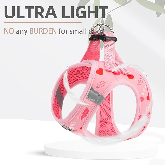 PUPTECK Adjustable Dog Harness Collar and Leash Set Step in No Pull Pet Harness for Small Medium Dogs Puppy and Cats Outdoor Walking Running, Soft Mesh Padded Reflective Vest Valentine Harnesses PUPTECK