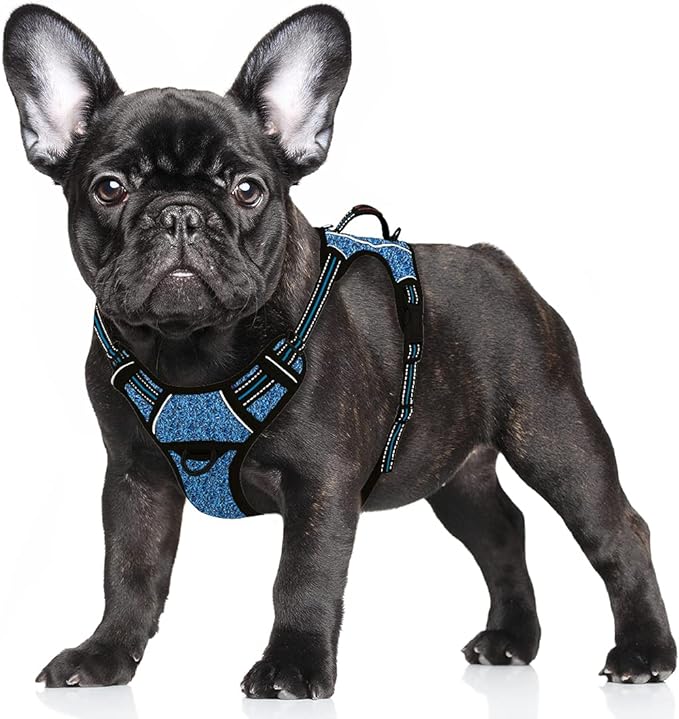 BARKBAY No Pull Dog Harness Large Reflective Dog Harness with Front Clip and Easy Control Handle for Walking Training Running with ID tag Pocket(Blue/Black,S) BARKBAY