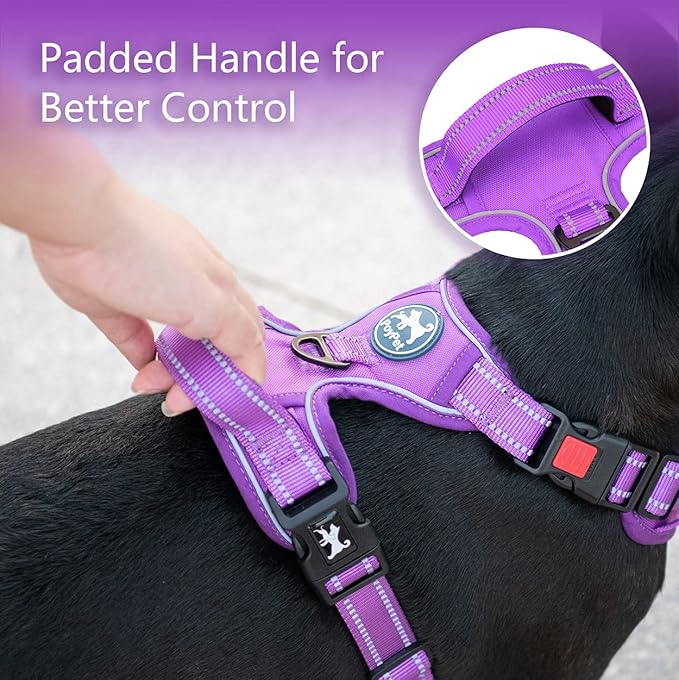 PoyPet No Pull Dog Harness, No Choke Reflective Dog Vest, Adjustable Pet Harnesses with Easy Control Padded Handle for Small Medium Large Dogs(Purple Matching Trim,L) PoyPet