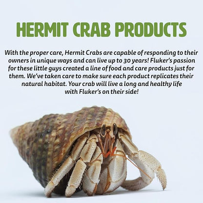 Fluker's Interactive Feeding Kit with Fruit Treat for Hermit Crabs, Blueberry Flukers