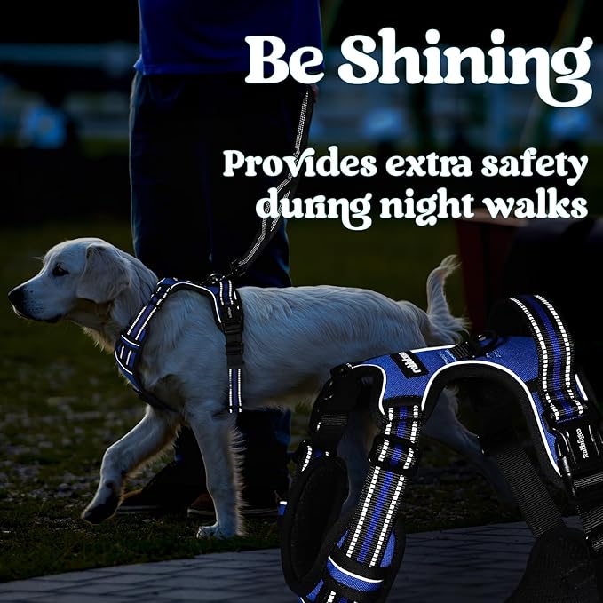 rabbitgoo Dog Harness Small Sized, No Pull Pet Harness with 3 Buckles, Adjustable Soft Padded Pooch Vest with Instant Control Handle, Easy Walking Reflective Pet Vest for Small Dogs, Blue, S - PAWPICO