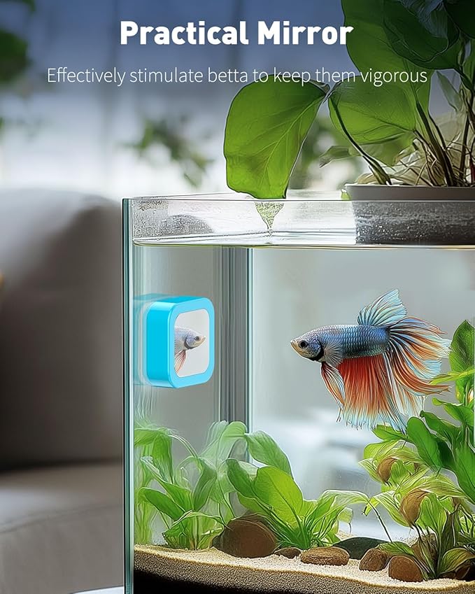 Pawfly Magnetic Aquarium Glass Cleaner Fish Tank Magnetic Brush with Mirror, 1.5 Inch Mini Fish Tank Glass Cleaner Cleaning Tool for 2/5 Inch Thick Aquarium up to 10 Gallons (Non-Floatable) Pawfly