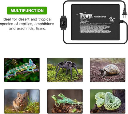 iPower 6 by 8-Inch 8 Watts Reptile Heating Mat with Temperature Controller Under Tank Warmer Terrarium Heat Pad for Reptiles and Amphibians, Black iPower