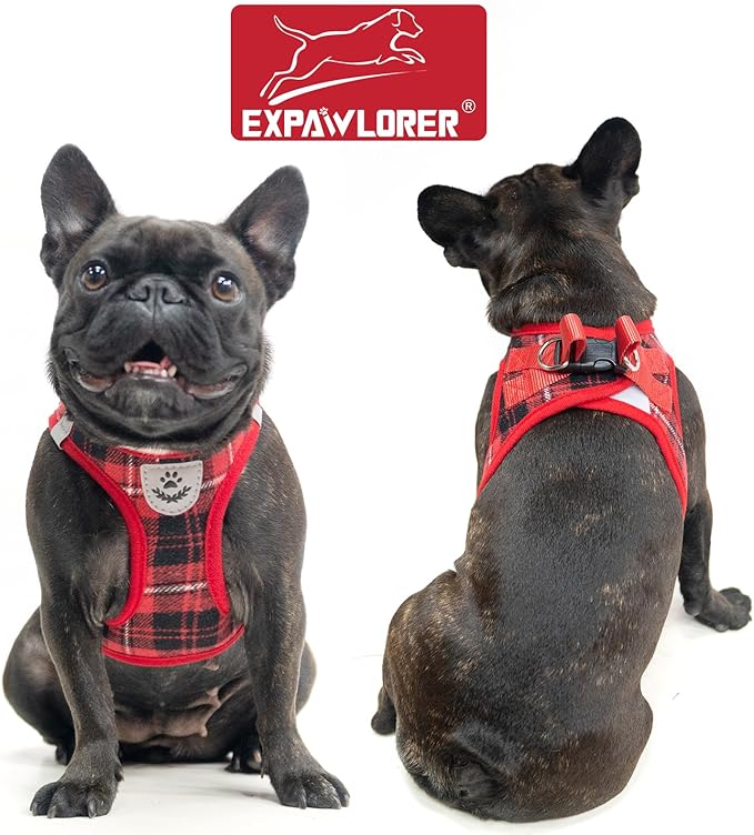 EXPAWLORER Classic Plaid Puppy Harness - Small Dog Harness and Leash Set - Dog Collar and Leash Set with AirTag Holder, Soft Padded Step in Dog Vest Harness No Pull Reflective for Outdoor, Red XS EXPAWLORER