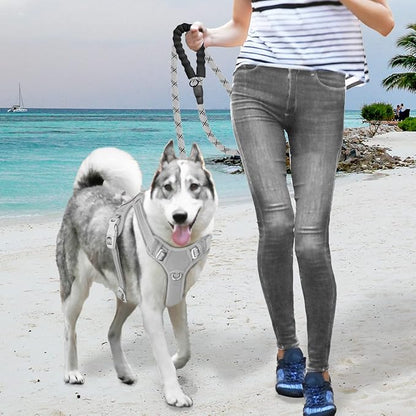 BARKBAY No Pull Dog Harness Large Reflective Dog Harness with Front Clip and Easy Control Handle for Walking Training Running with ID tag Pocket(Grey,M) BARKBAY