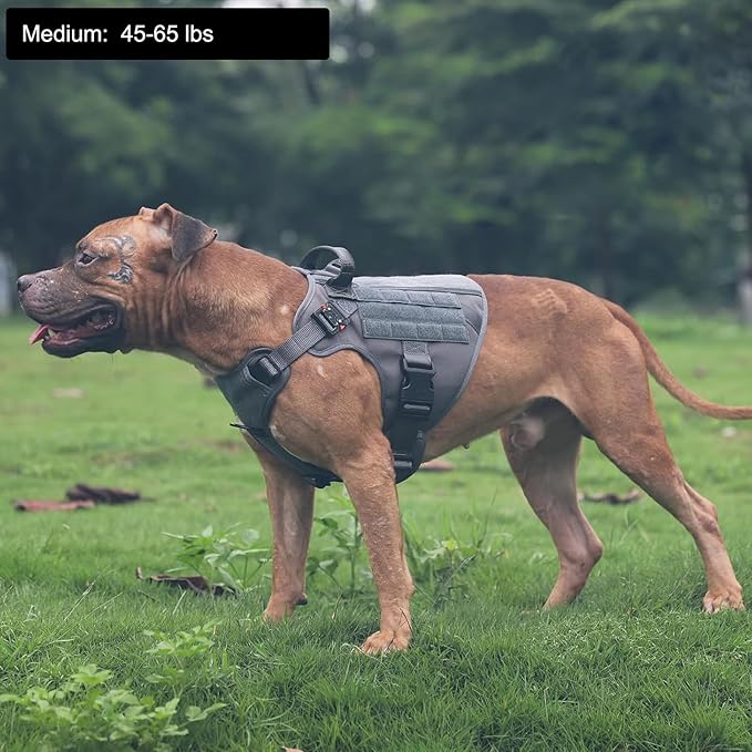 ICEFANG Tactical Dog Harness,Medium Size, 2X Metal Buckle,Working Dog MOLLE Vest with Handle,No Pulling Front Leash Clip,Hook and Loop Panel ICEFANGDIRECT