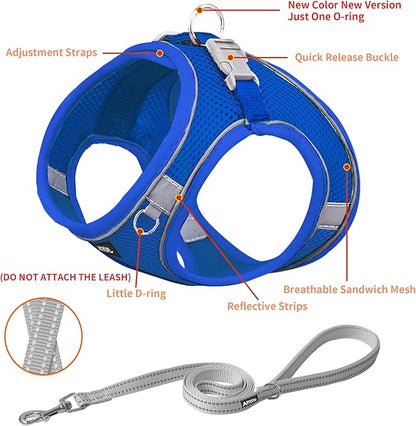 AIITLE Dog Harness, Spring No-Pull Cat Harness with a Leash, Adjustable Reflective Dog Vest, Cat Harness Escape Proof, Outdoor Walking, Camping for Extra Small Dogs and House Cats Royal Blue XXXS AIITLE-FORPETSBETTERLIFE