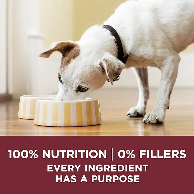 Purina ONE True Instinct Tender Cuts in Gravy With Real Turkey and Venison, and With Real Chicken and Duck High Protein Wet Dog Food Variety Pack - (Pack of 12) 13 oz. Cans - PAWPICO